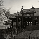 Десять китайских чайных запретов